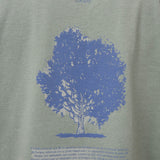 Polera Algodón Hombre Onetree Verde Rockford