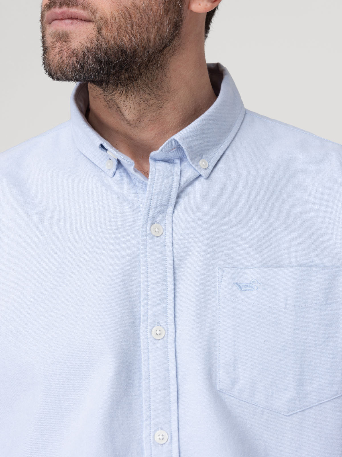 Camisa Algodón Hombre Oxford Celeste Rockford