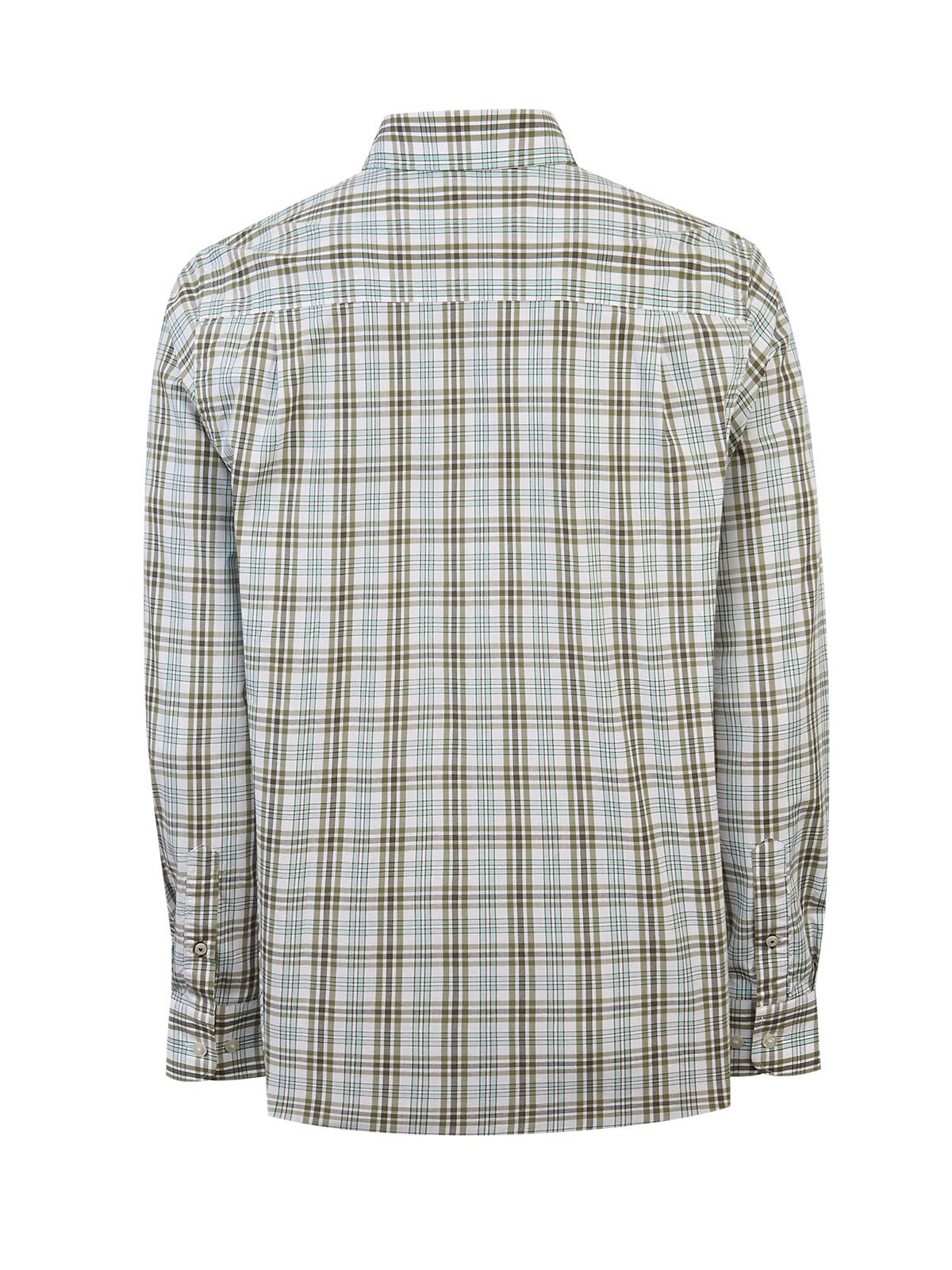 Camisa Algodón Orgánico Hombre Lighter Verde Rockford