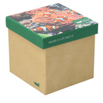 Calcetín Bambú Hombre Packift Pez Multicolor Rockford