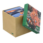 Calcetín Bambú Hombre Packift Pez Multicolor Rockford