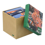 Calcetín Bambú Hombre Packift Pez Multicolor Rockford