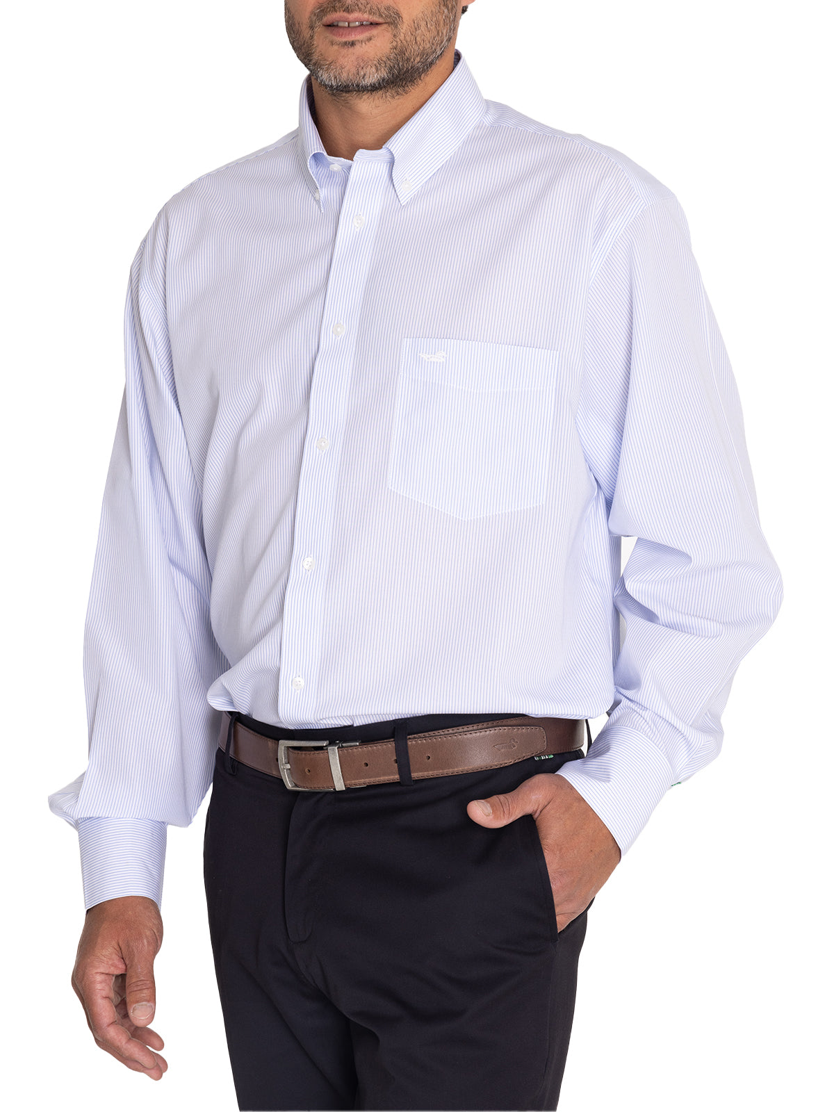 Camisa Libre De Arrugas Hombre WF Cuello Button-Down Azul Rockford
