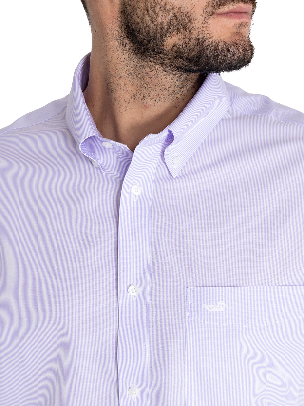 Camisa Libre De Arrugas Hombre WF Cuello Button-Down Lila Rockford