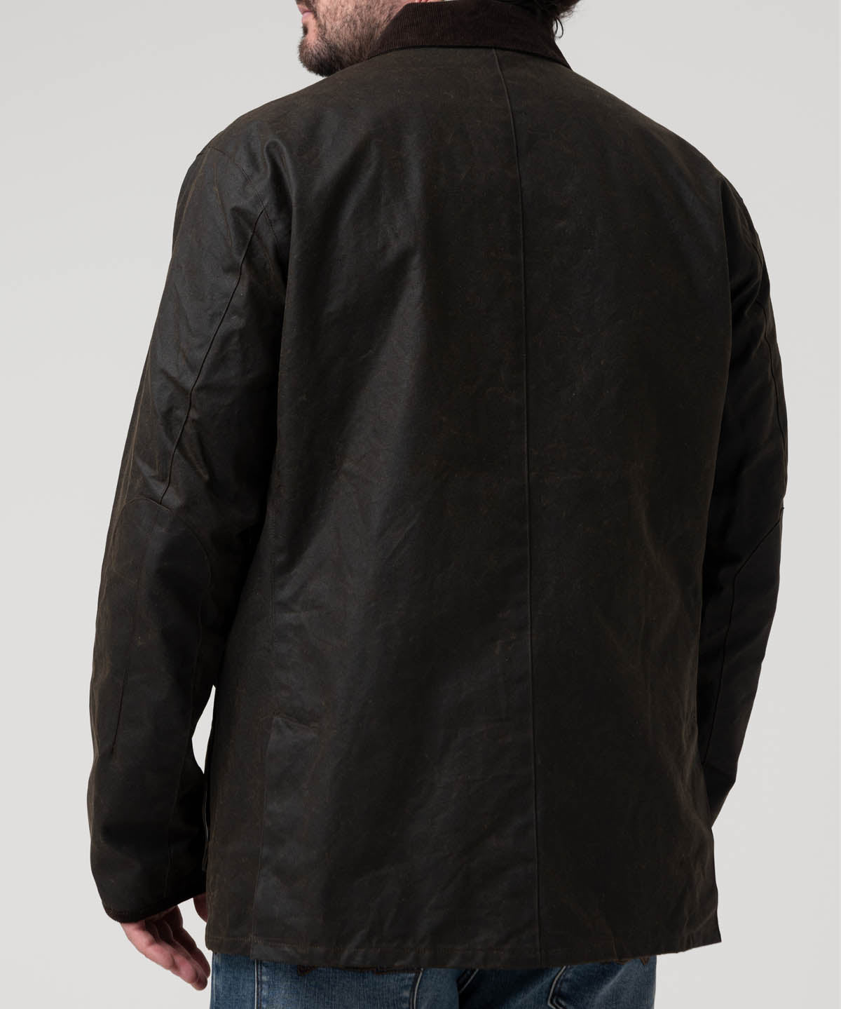 Chaqueta Algodón Hombre Claswax Café Rockford