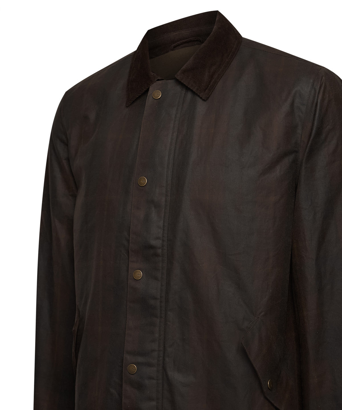 Chaqueta Algodón Hombre Tartanwax Café Rockford