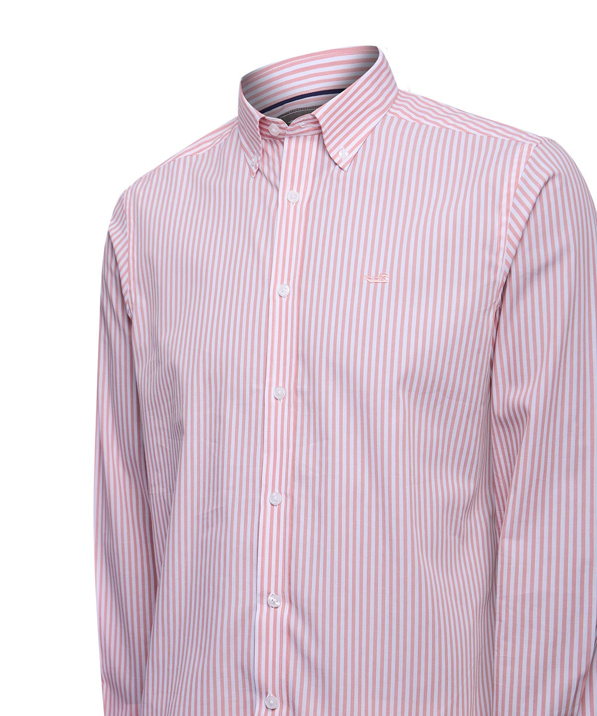 Camisa Algodón Hombre Windsor Rosado Rayas Rockford