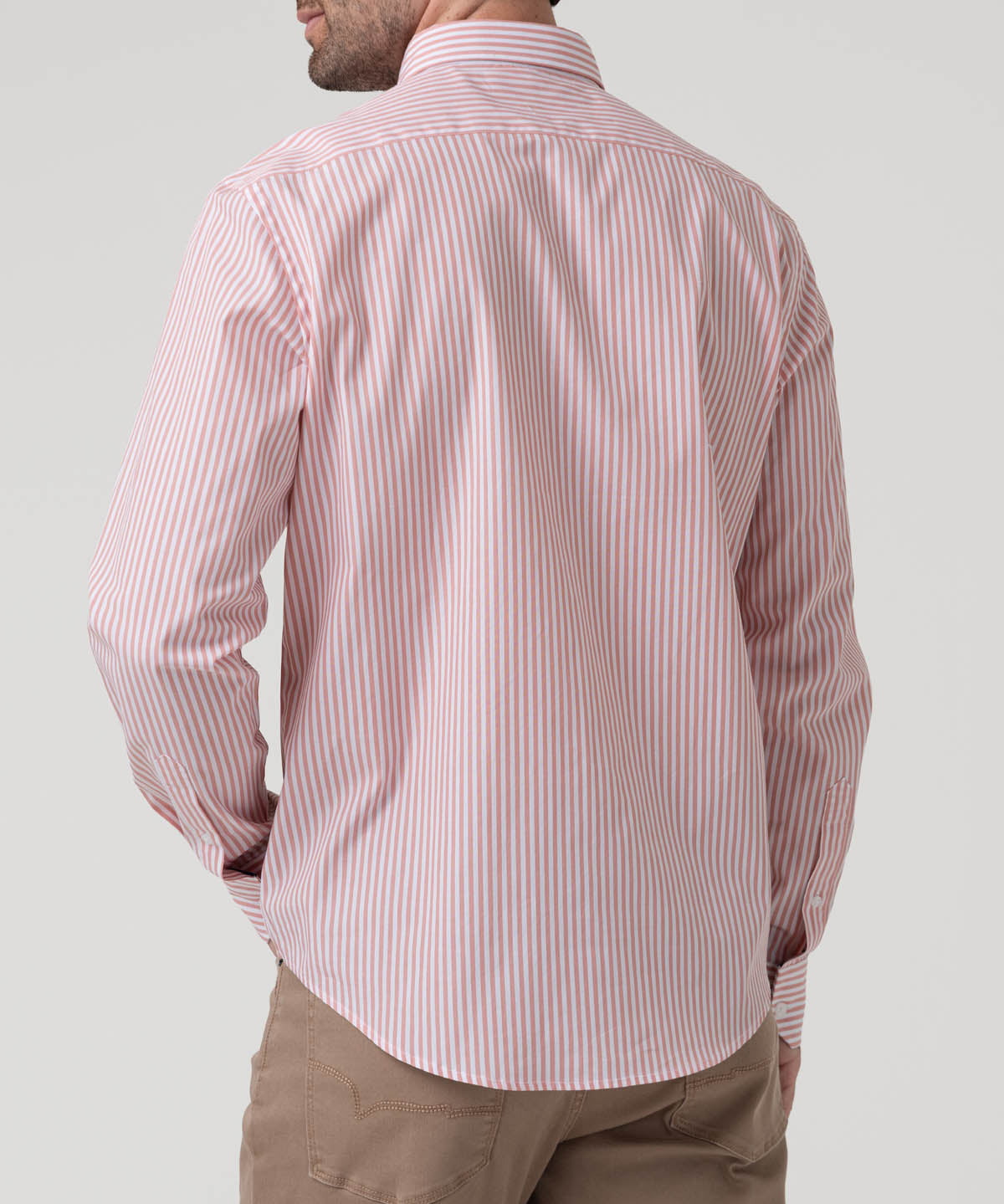 Camisa Algodón Hombre Windsor Rosado Rayas Rockford
