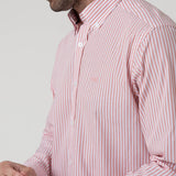 Camisa Algodón Hombre Windsor Rosado Rayas Rockford