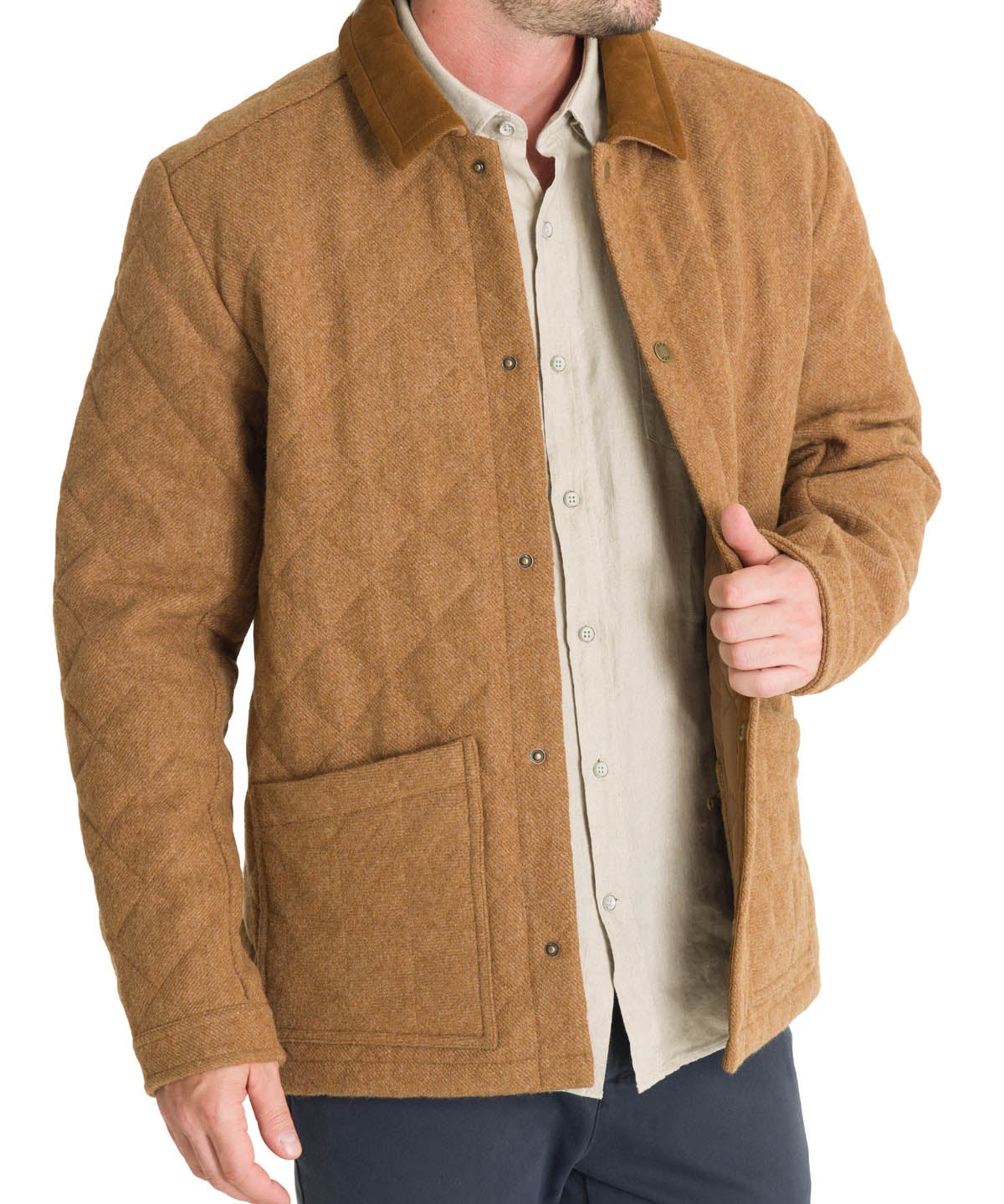 Chaqueta Thermore Hombre Lewis Café Rockford