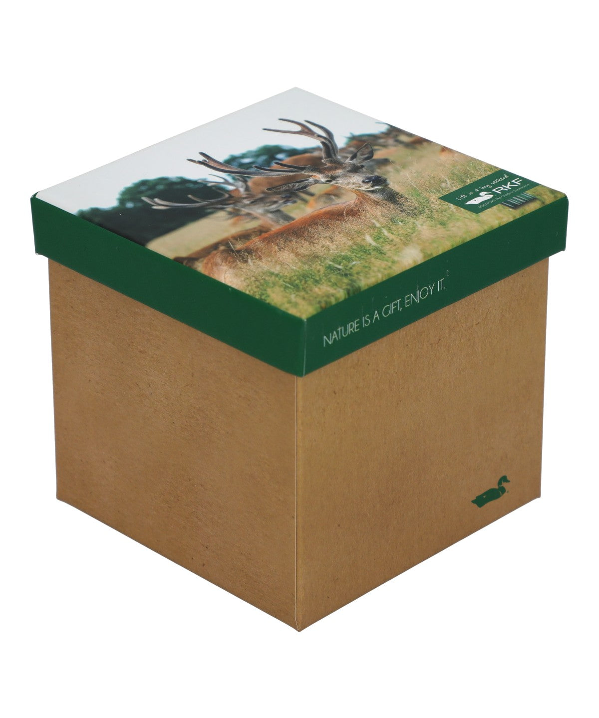 Calcetin Bambú Mujer Pack Gift Bam Multicolor Rockford