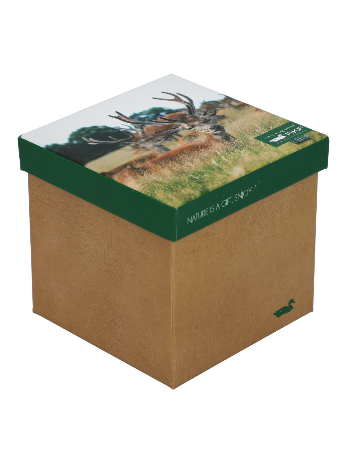 Calcetin Bambú Mujer Pack Gift Bam Multicolor Rockford