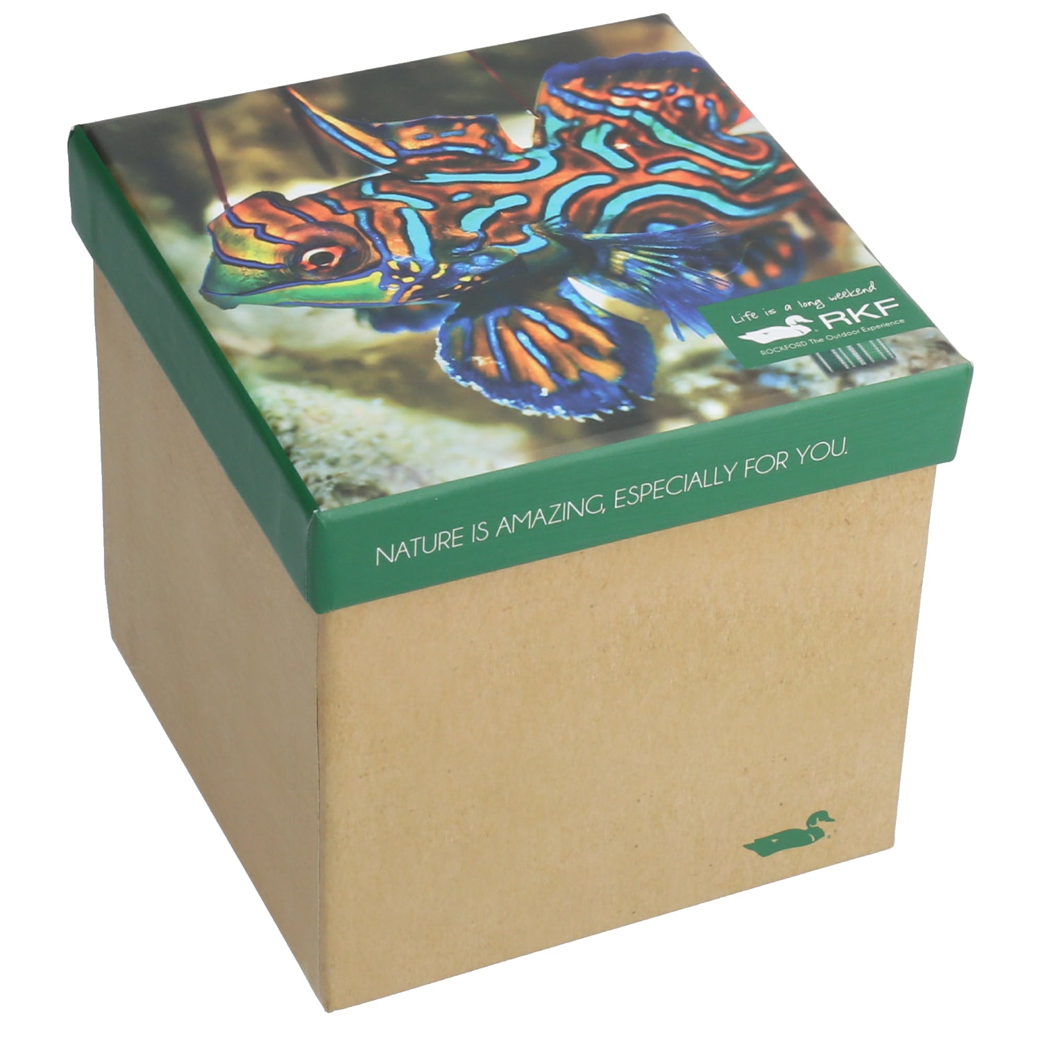 Calcetín Bambú Mujer Pack Gift Fis