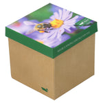 Calcetín Bambú Mujer Pack Gift Bee Multicolor Rockford