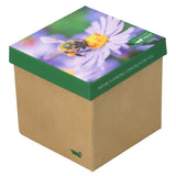 Calcetín Bambú Mujer Pack Gift Bee Multicolor Rockford