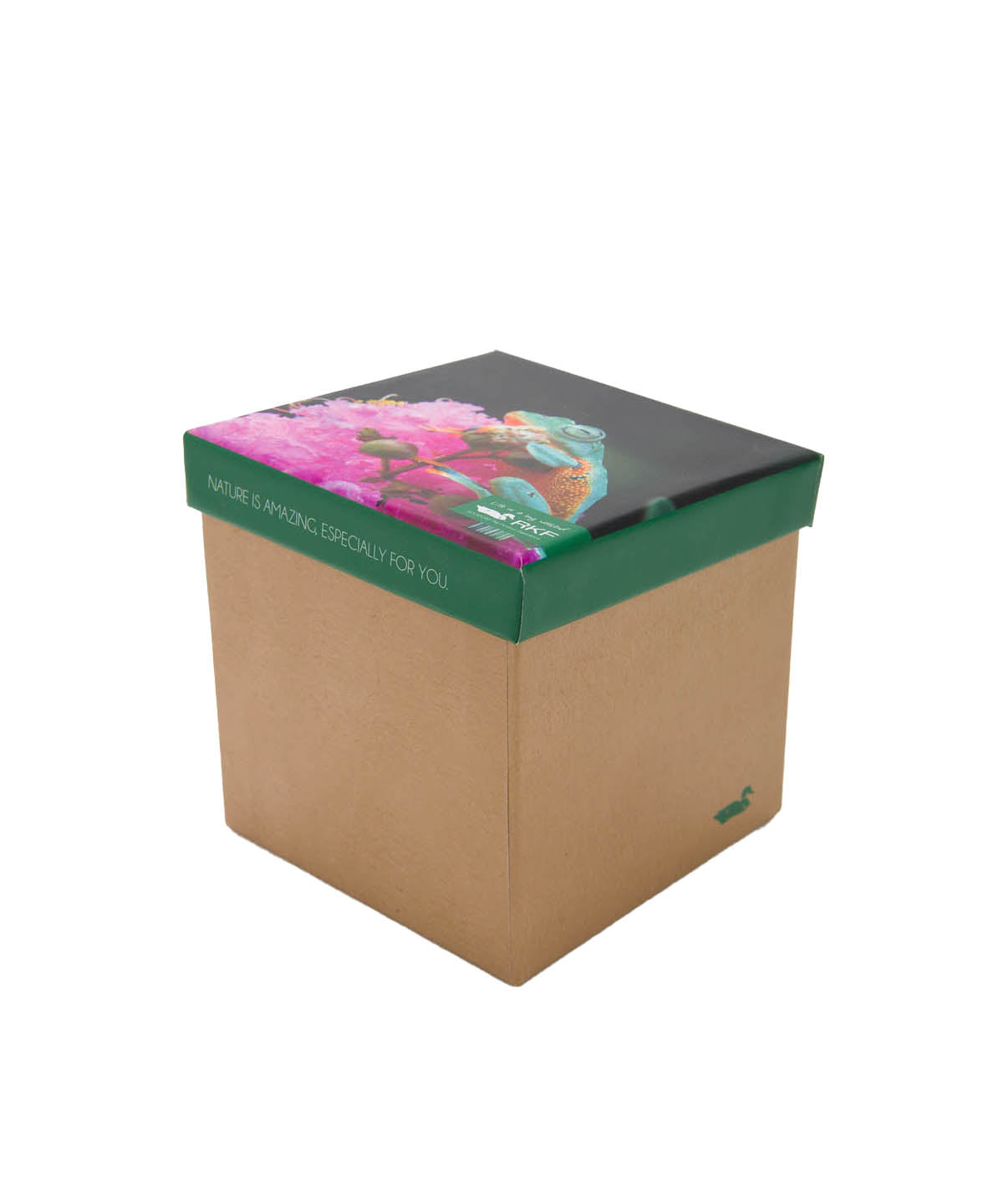Calcetin Bambú Mujer Pack Gift Fro Multicolor Rockford
