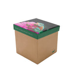 Calcetin Bambú Mujer Pack Gift Fro Multicolor Rockford