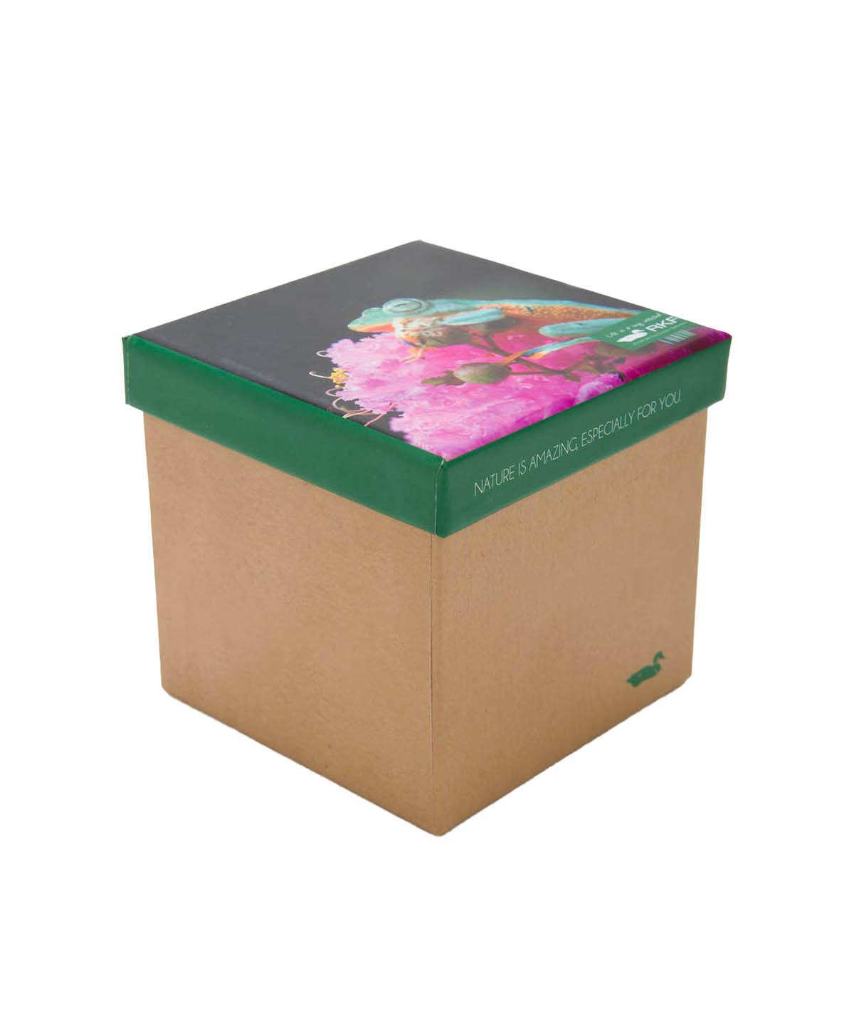 Calcetin Bambú Mujer Pack Gift Fro Multicolor Rockford
