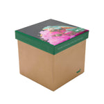 Calcetin Bambú Mujer Pack Gift Fro Multicolor Rockford
