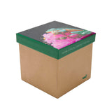Calcetin Bambú Mujer Pack Gift Fro Multicolor Rockford