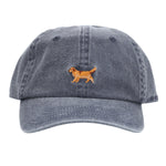 Gorro Algodón Unisex Cap Golden Retriever Azul Rockford