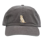 Gorro Algodón Unisex Cap Labradorris Rockford