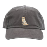 Gorro Algodón Unisex Cap Labradorris Rockford