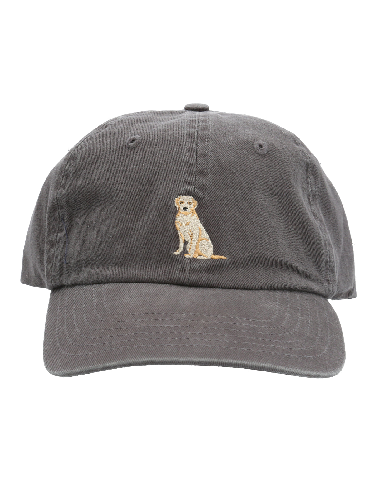 Gorro Algodón Unisex Cap Labradorris Rockford