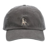 Gorro Algodón Unisex Cap Pitbullris Rockford