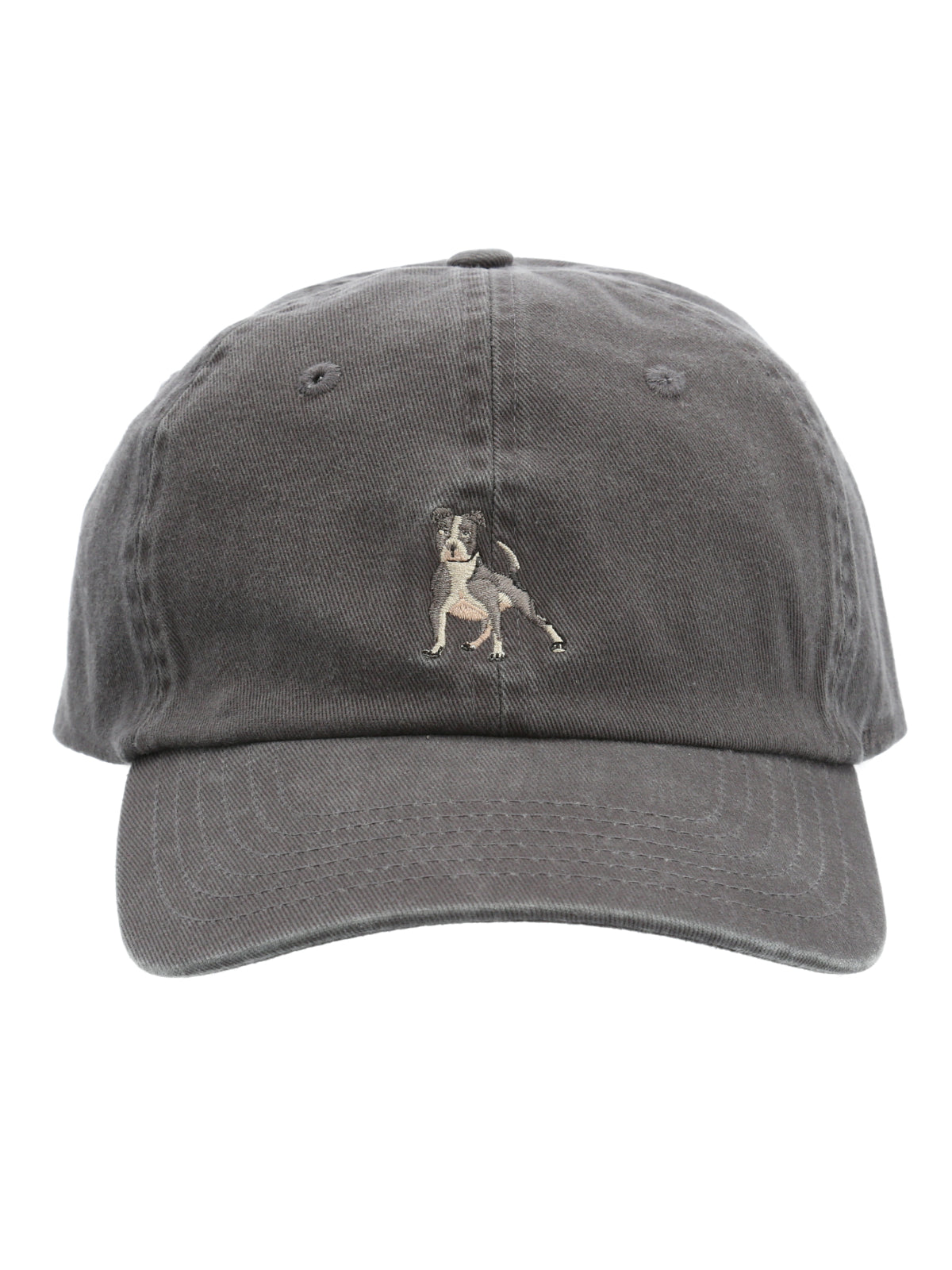 Gorro Algodón Unisex Cap Pitbullris Rockford