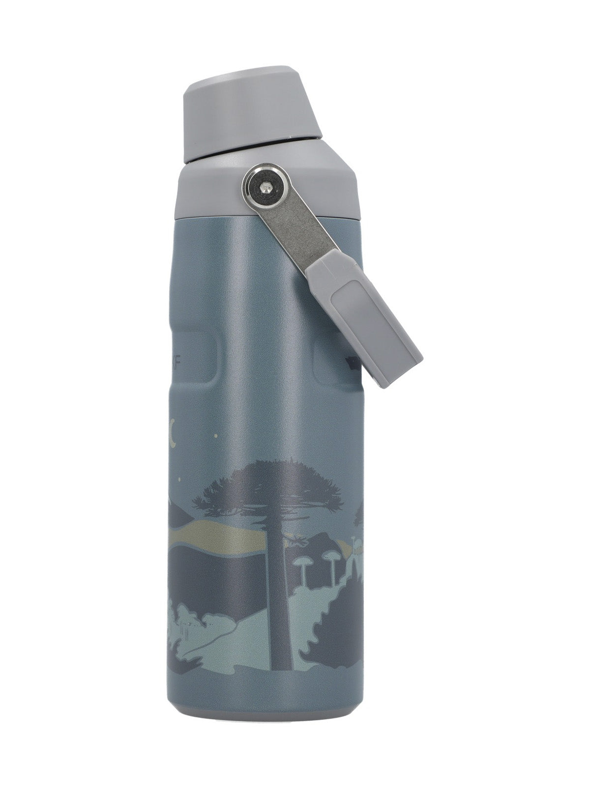 Botella Acero Unisex Rkf Araucaria Bottle Gris Rockford