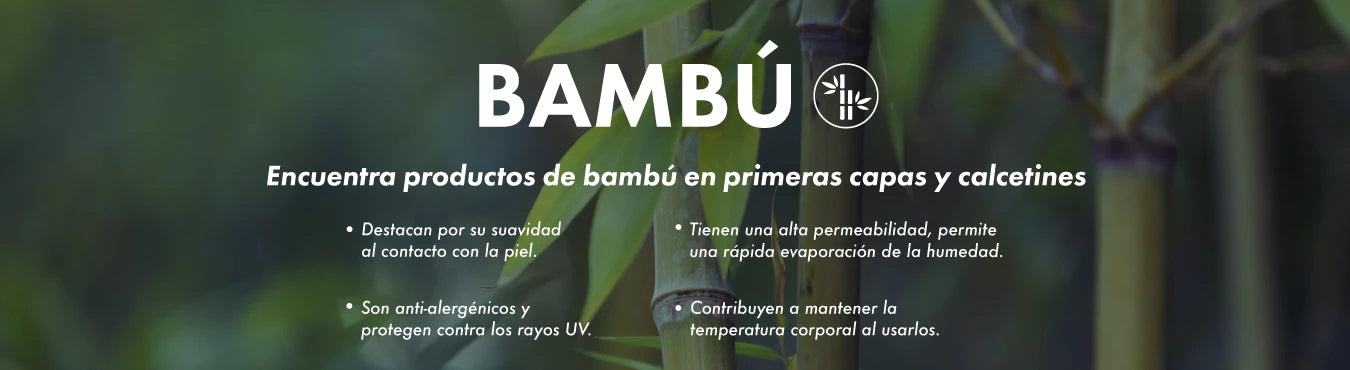 Bambú